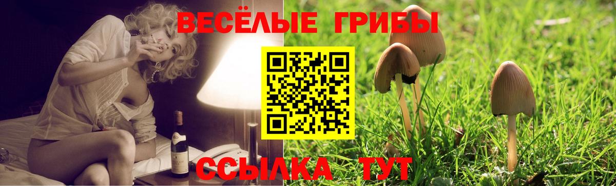 купить наркоту  Галлюциногенные грибы Psilocybine cubensis  Вход с VPN  Когалым 